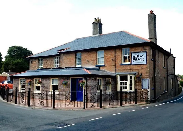 The Black Dog Inn