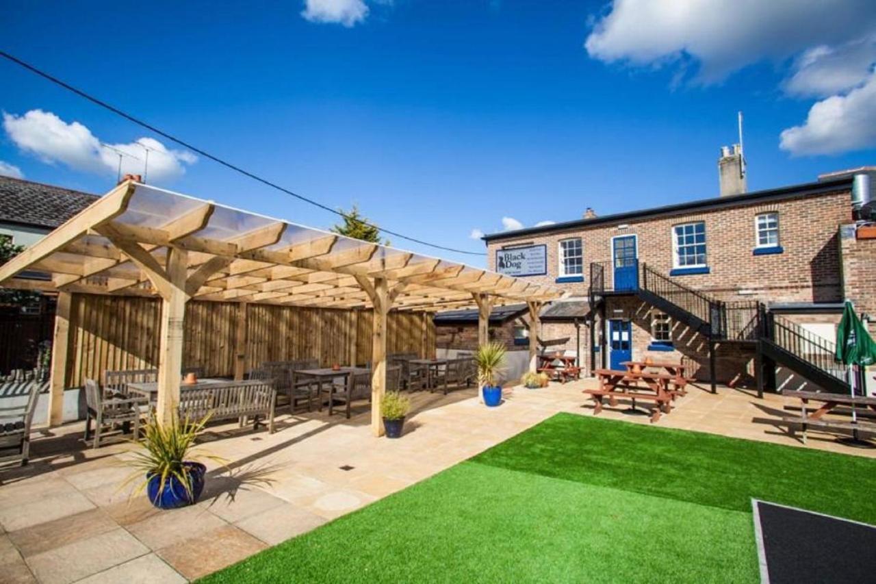 The Black Dog Hotel